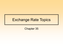 Exchange Rate Topics