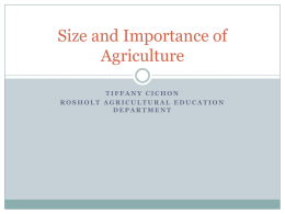 Size and Importance of Agriculture