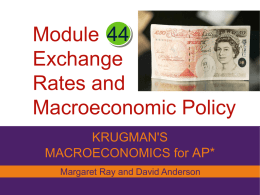 exchange rates and macro policy