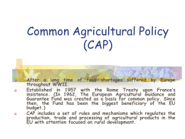 Common Agricultural Policy