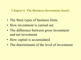The Business-Investment Sector