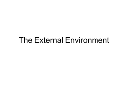The External Environment