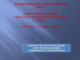 Background Paper on Biofuels Industry Development in Africa