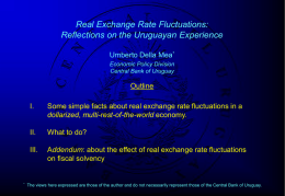 Real Exchange Rate Fluctuations