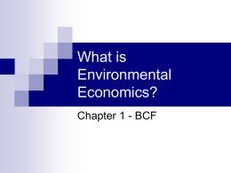 What is Environmental Economics?
