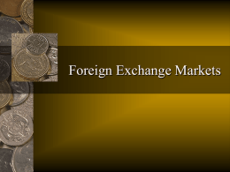 Foreign Exchange Risk