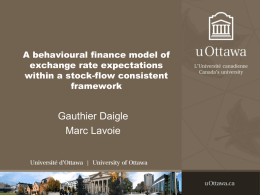 A behavioural finance model of exchange rate expectations within a