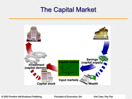 Input Demand: The Capital Market