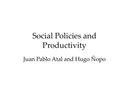 Uninsured Risks, Social Policies and Productivity