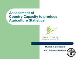 Assessment of country capacity to produce agricultural statistics