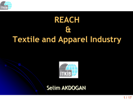 REACH & Textile and Apparel   Industry