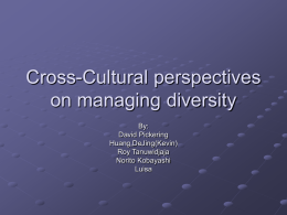 A cross-cultural perspective on managing diversity