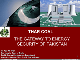 Thar Coal & Energy Board