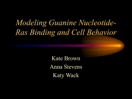 Modeling Ganine Nucleotide-Ras Binding in the MAP Kinase