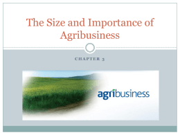 The Size and Importance of Agribusiness