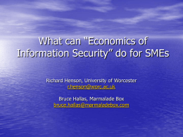 What can “Economics of Information Security”