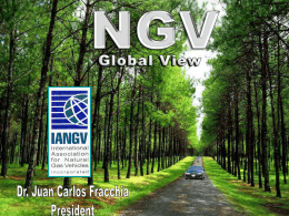 NGV Global View, by Dr. Juan Carlos Fracchia, IANGV