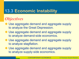 13.3 Economic Instability