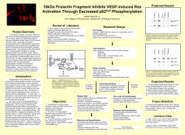16kDa Prolactin Fragment Inhibits VEGF