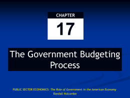 The Role of Government in the American Economy