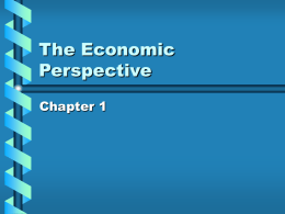 The Economic Perspective