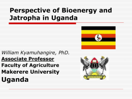 Perspective of Bioenergy and Jatropha in Uganda