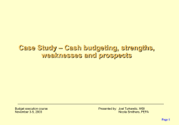 Cash Budgeting Strengths, Weaknesses and Prospects