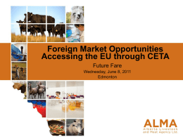 2010-11 ALMA Business Plan Overview Foreign Market
