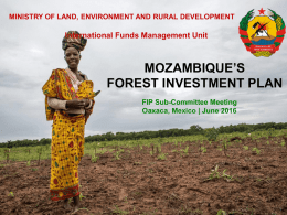 FIP Investment Plan for Mozambique