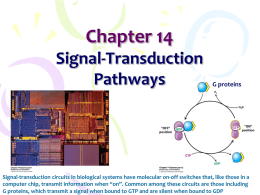 Signal Transduction Pathways • Signal Transduction