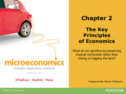 Microeconomics * Principles, Applications and Tools, 8e