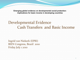 Emerging global evidence on developmental social protection