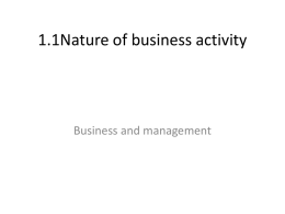1.1 Nature of business activityx