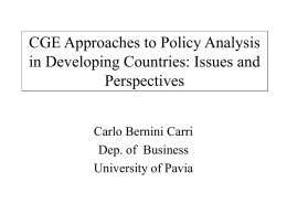CGE Approaches to Policy Analysis in Developing Countries: Issues