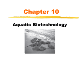 Chapter 10 and 11