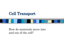 Cellular Transport!