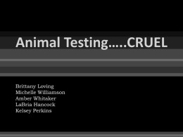 Animal Testingx