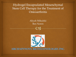 Mesenchymal Stem Cell Therapy for the Treatment of Osteoarthritis