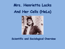 Henrietta Lacks (part 2)