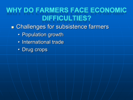 Why Do Farmers Face Economic Difficulties? Agricultural Land and