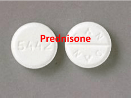 Prednisone - NMCHEM