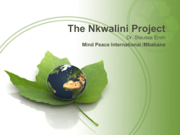 The Nkwalini Project