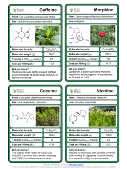 SAPS - Medicines and drugs from plants - cards