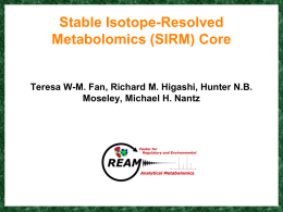 Stable Isotopes-Resolved Metabolomics (SIRM) Core