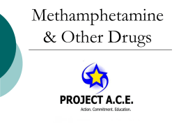 Meth and Other Drugs (PPT - 13.3MB)