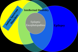 Autism and epileptic encephalopathy