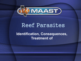 ReefParasites
