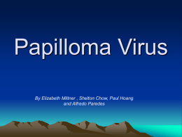 Papilloma Virus - UCLA Oral Medicine