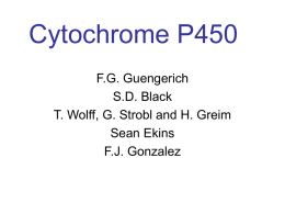 Cytochrome P450 - BioInfo3D Group