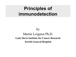 Principles of immunodetection
